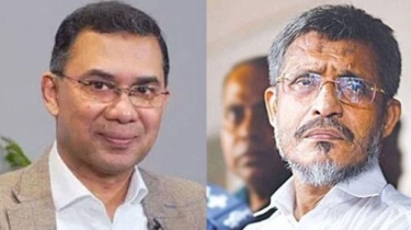তারেক রহমান-বাবরের খালাসের বিরুদ্ধে আপিল শুনানি ফের বুধবার