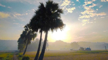 ঢাকাসহ ৩৮ জেলায় বইছে তাপপ্রবাহ
